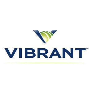 Vibrantmedia Logo