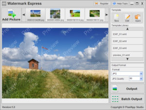 watermark_express-logo