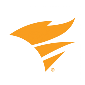 Dameware Logo