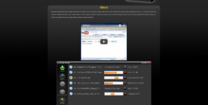 RipTiger-video-grabbing Screenshot 3