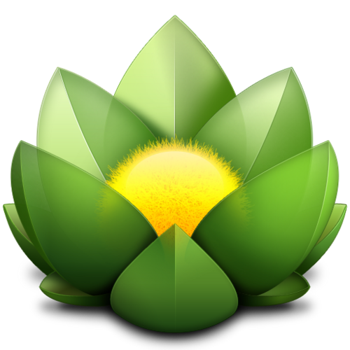 Versions Logo