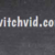 switchvid-video-grabbing Logo