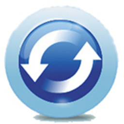 Synchredible Logo