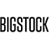 Bigstock Logo