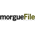Morguefile Logo