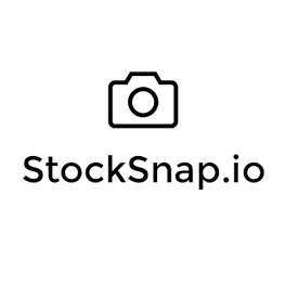 StockSnap.io Logo