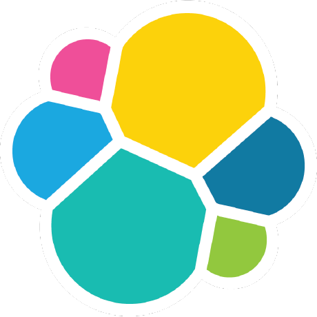 DSL Logo