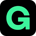 Golem.de Logo