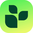 Lifesum Logo