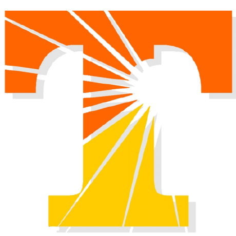 project open Logo