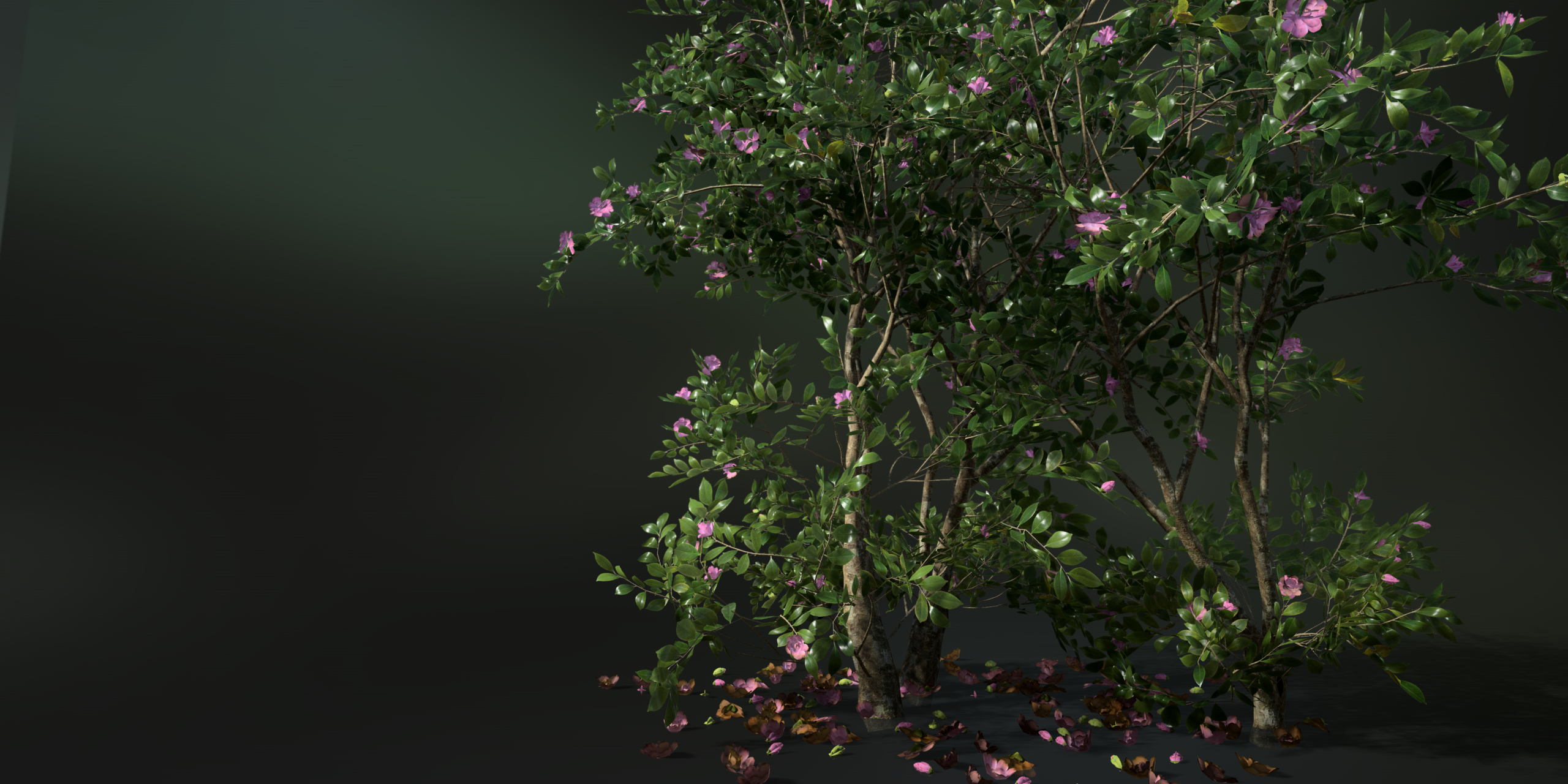 SpeedTree Logo