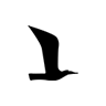Möve Logo