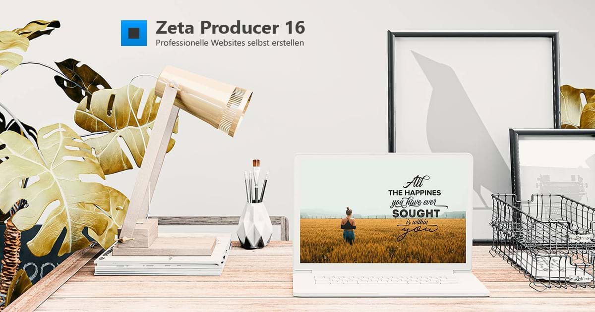zeta producer Logo