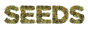 Cannaconda.de – Dein Hanfshop Logo