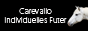 Carevallo Logo