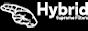Hybrid-Filter Logo