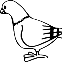 Plume Logo
