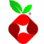 Pi-hole Logo