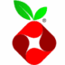 Pi-hole Logo