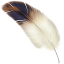 CQRLog Logo